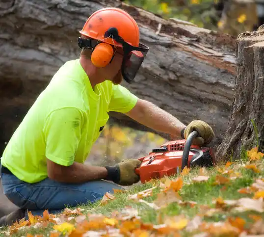 tree services New Richmond